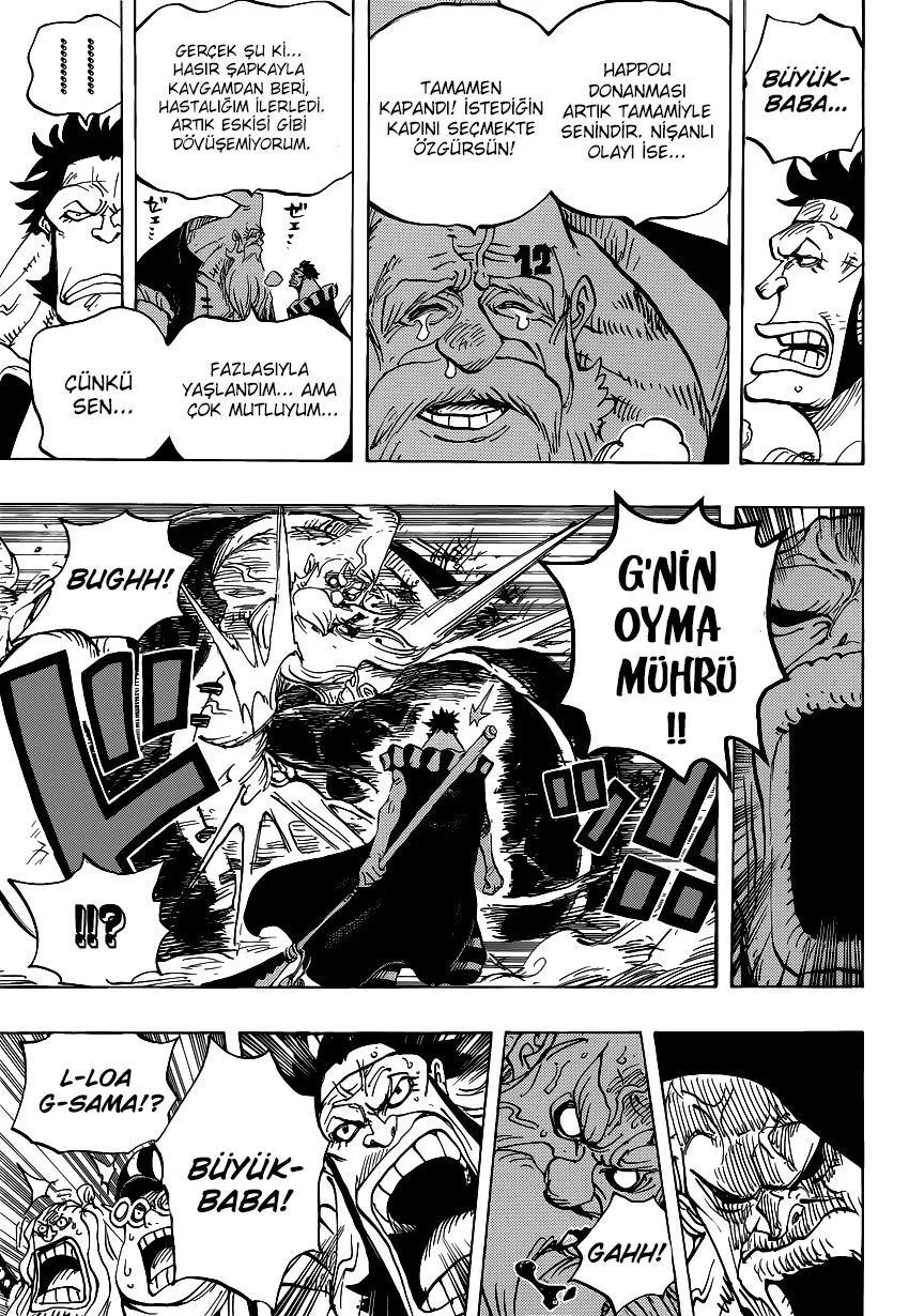 One Piece - Sayfa 14