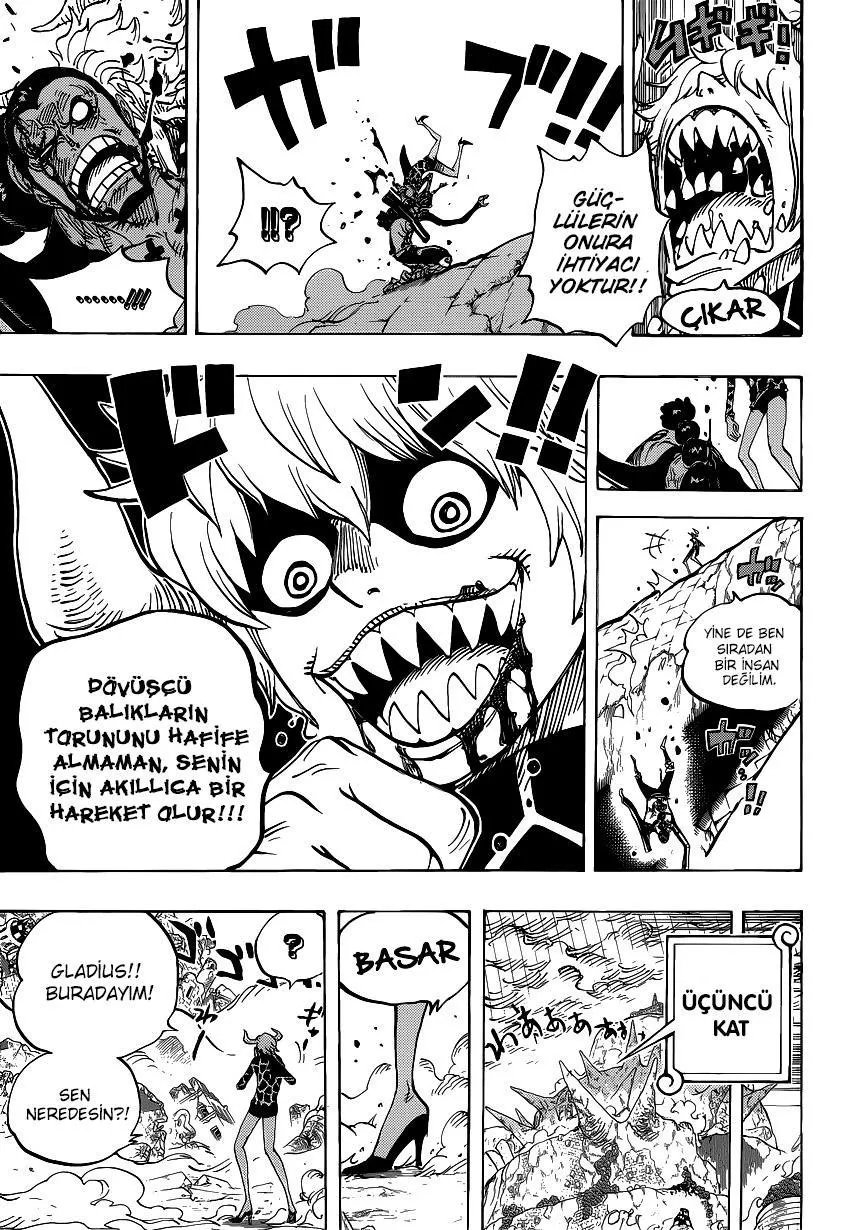 One Piece - Sayfa 15