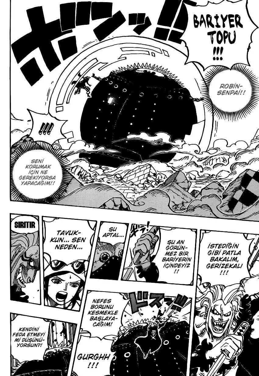 One Piece - Sayfa 13