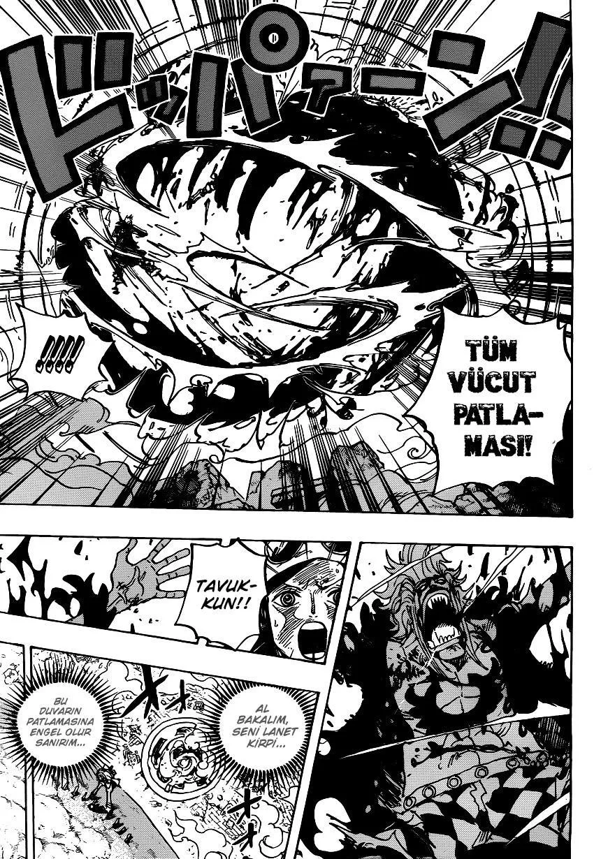 One Piece - Sayfa 14