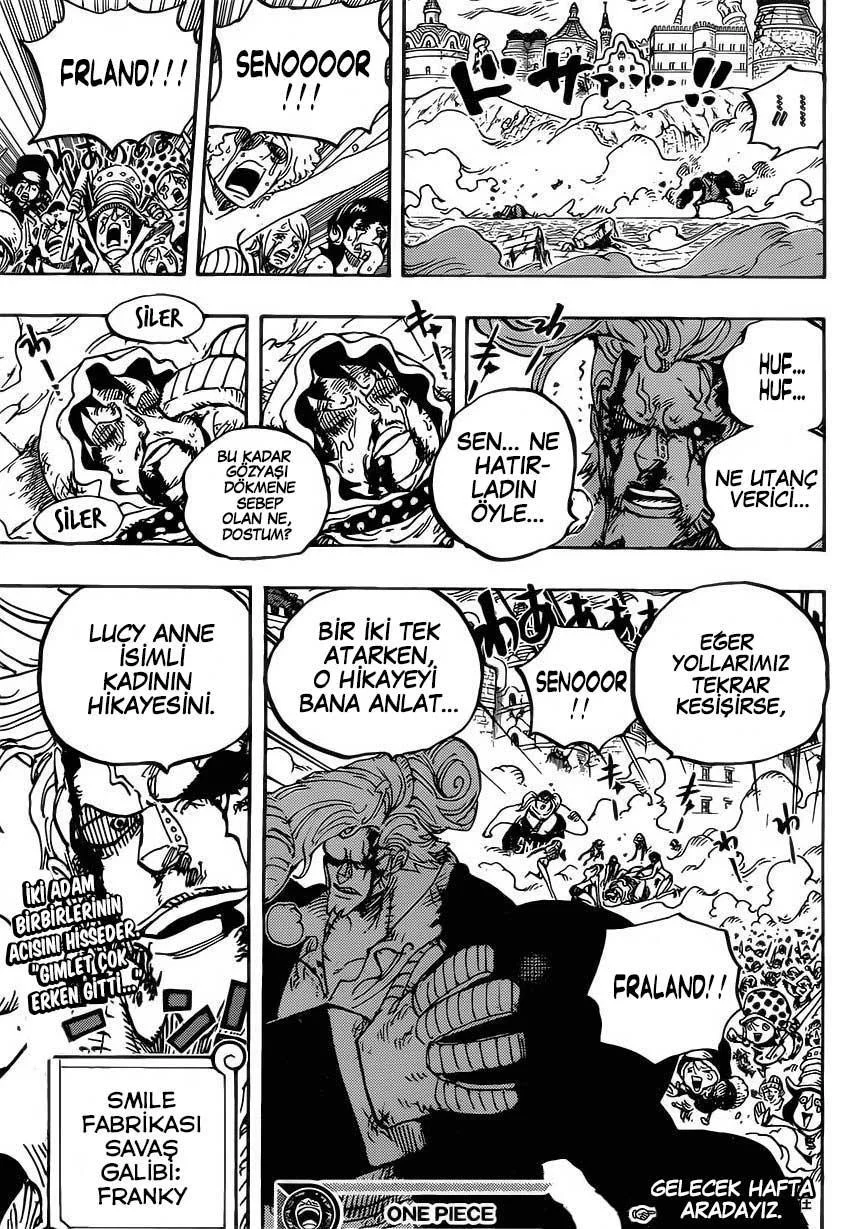 One Piece - Sayfa 17