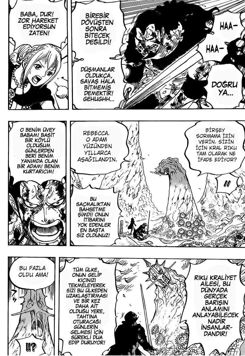 One Piece - Sayfa 11