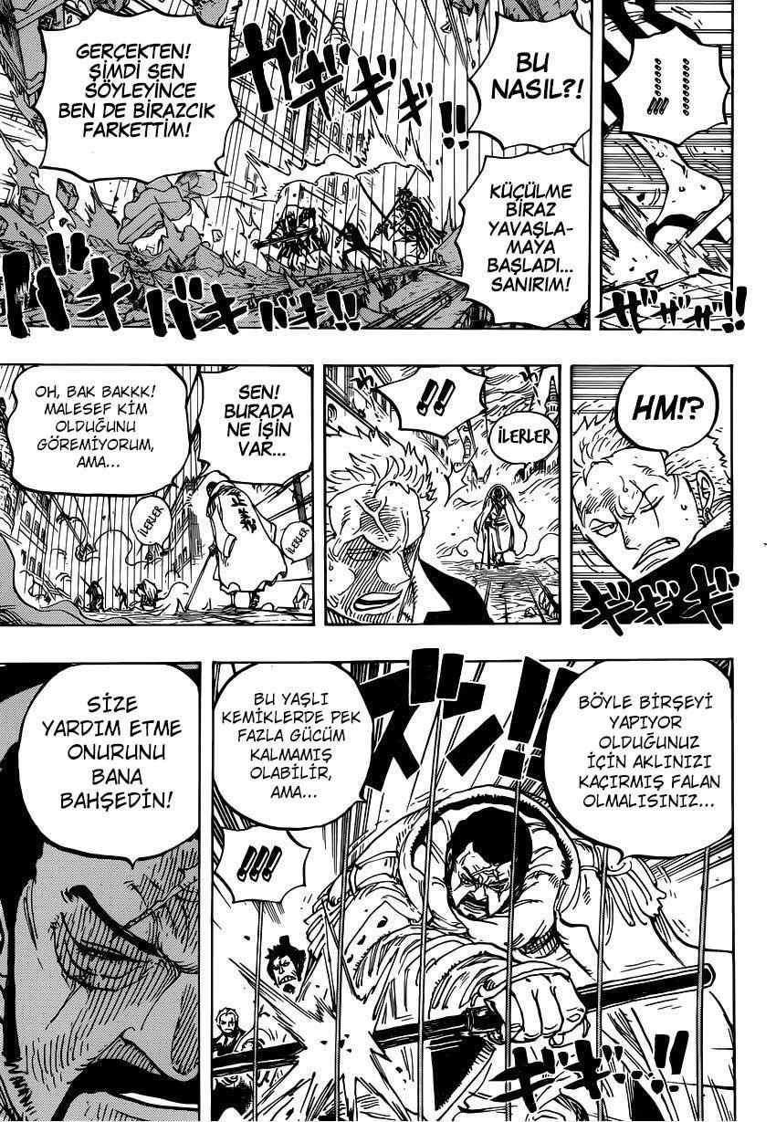 One Piece - Sayfa 14