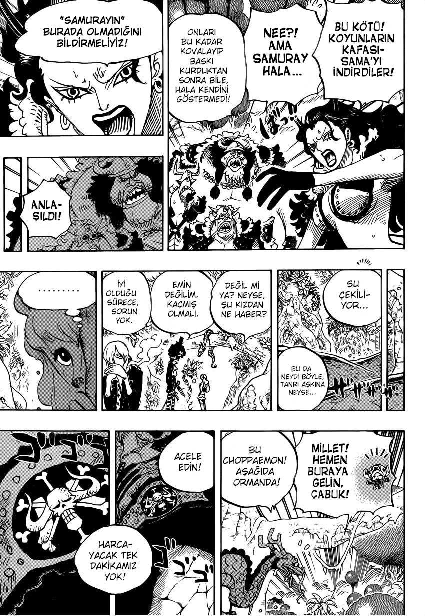 One Piece mangasının 0795 bölümünün 10. sayfasını okuyorsunuz.