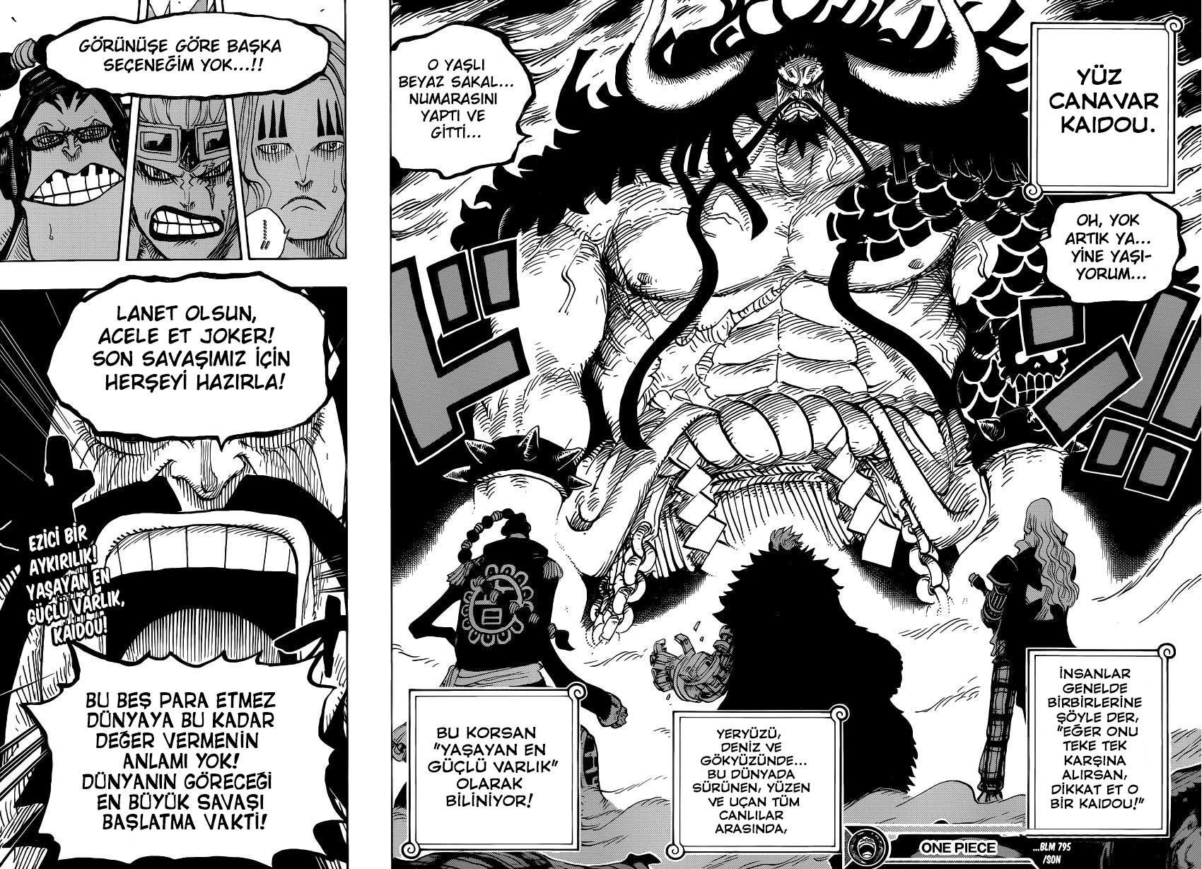 One Piece mangasının 0795 bölümünün 17. sayfasını okuyorsunuz.