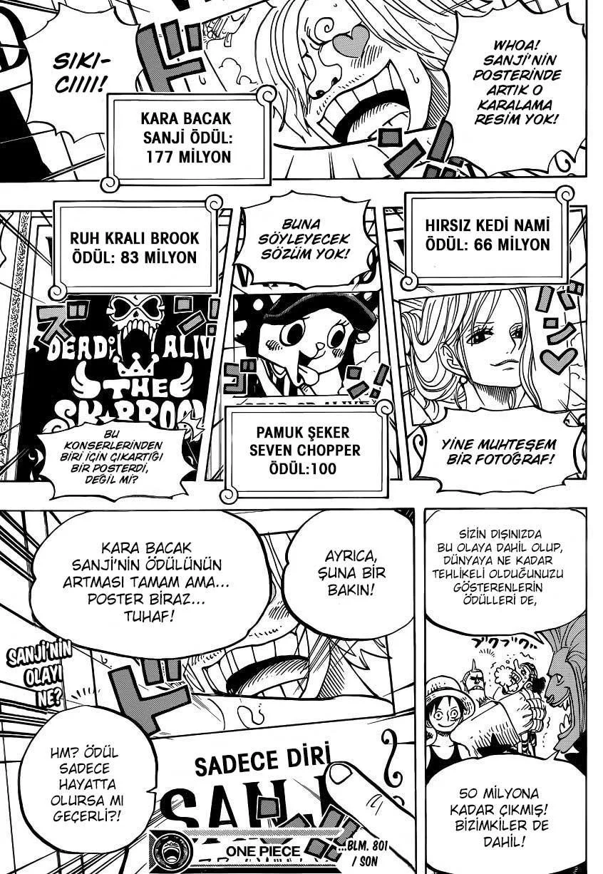 One Piece - Sayfa 17