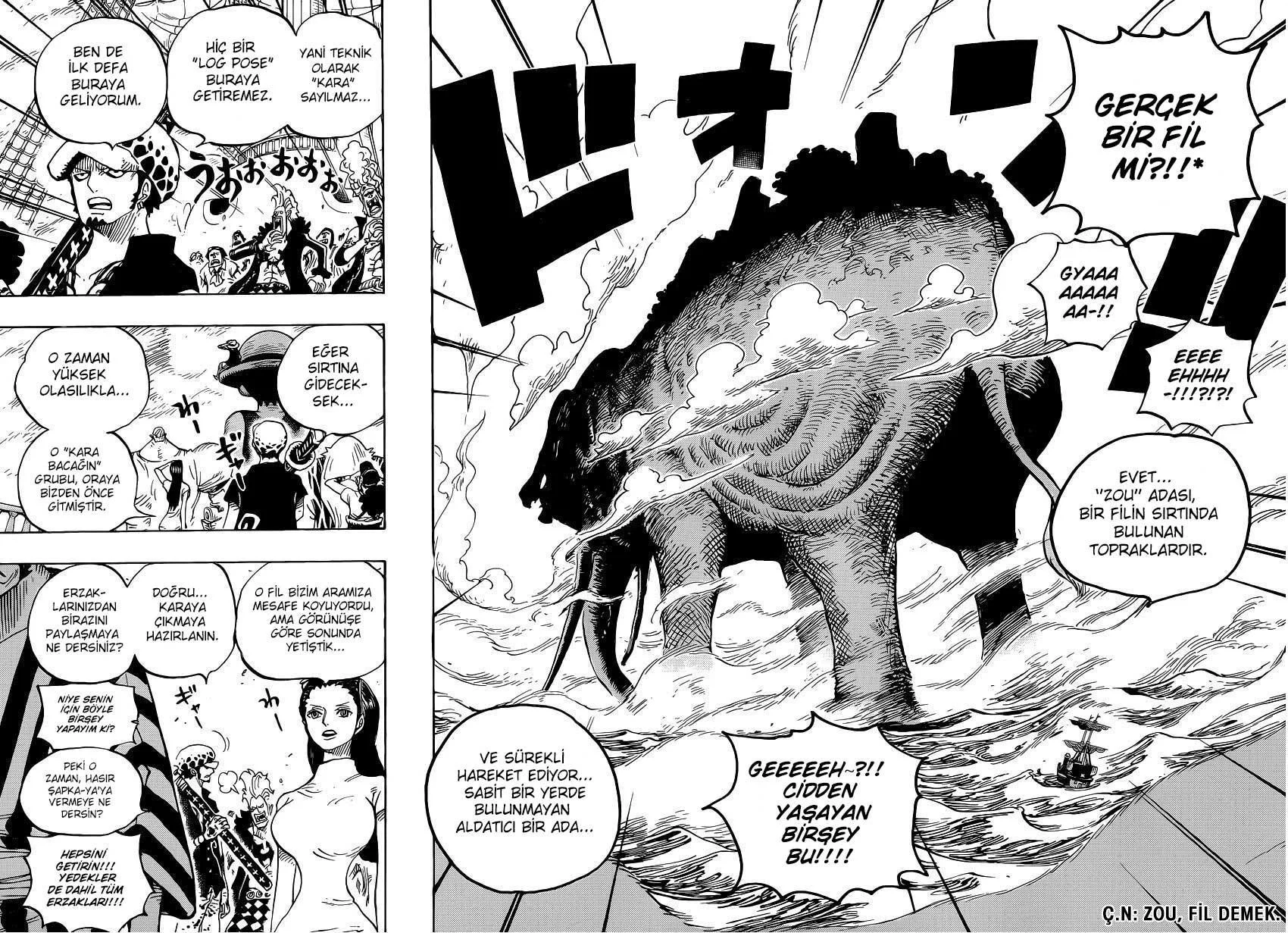 One Piece - Sayfa 13
