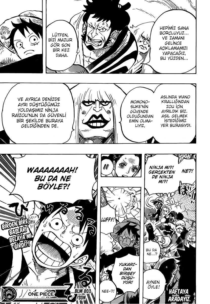 One Piece mangasının 0803 bölümünün 14. sayfasını okuyorsunuz.