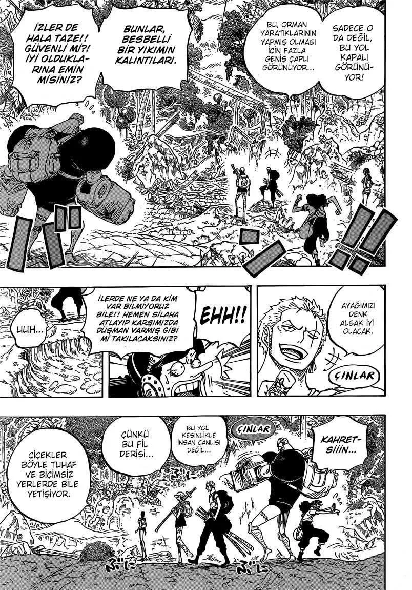 One Piece - Sayfa 13
