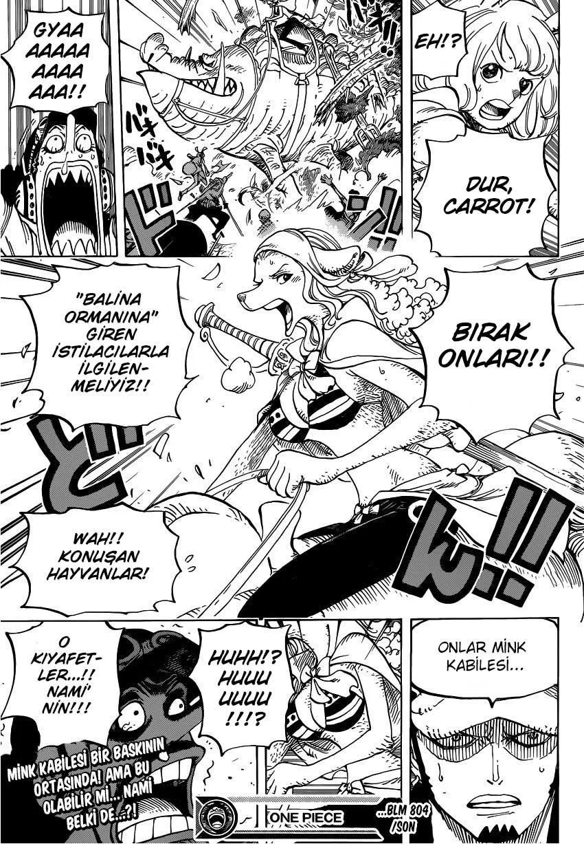 One Piece - Sayfa 17