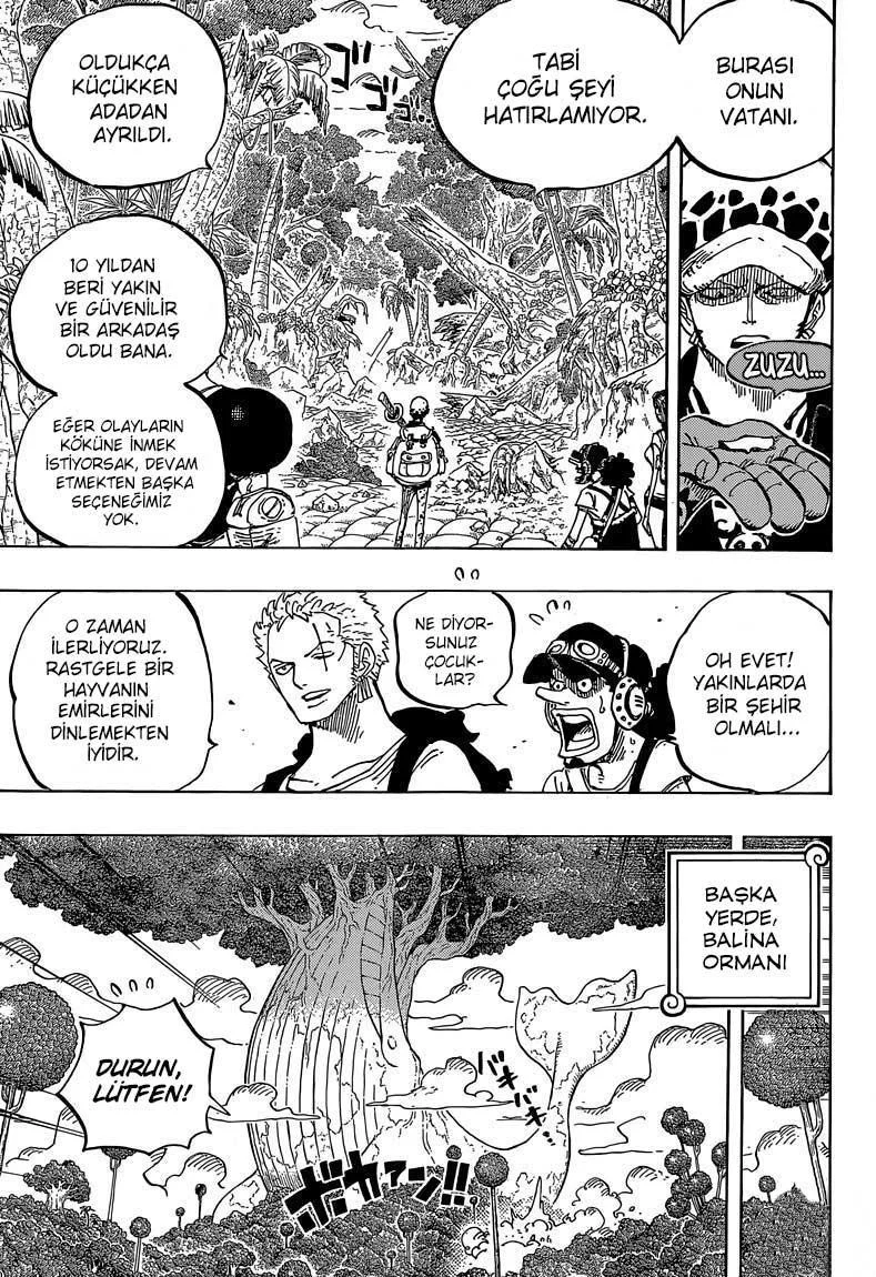 One Piece - Sayfa 8