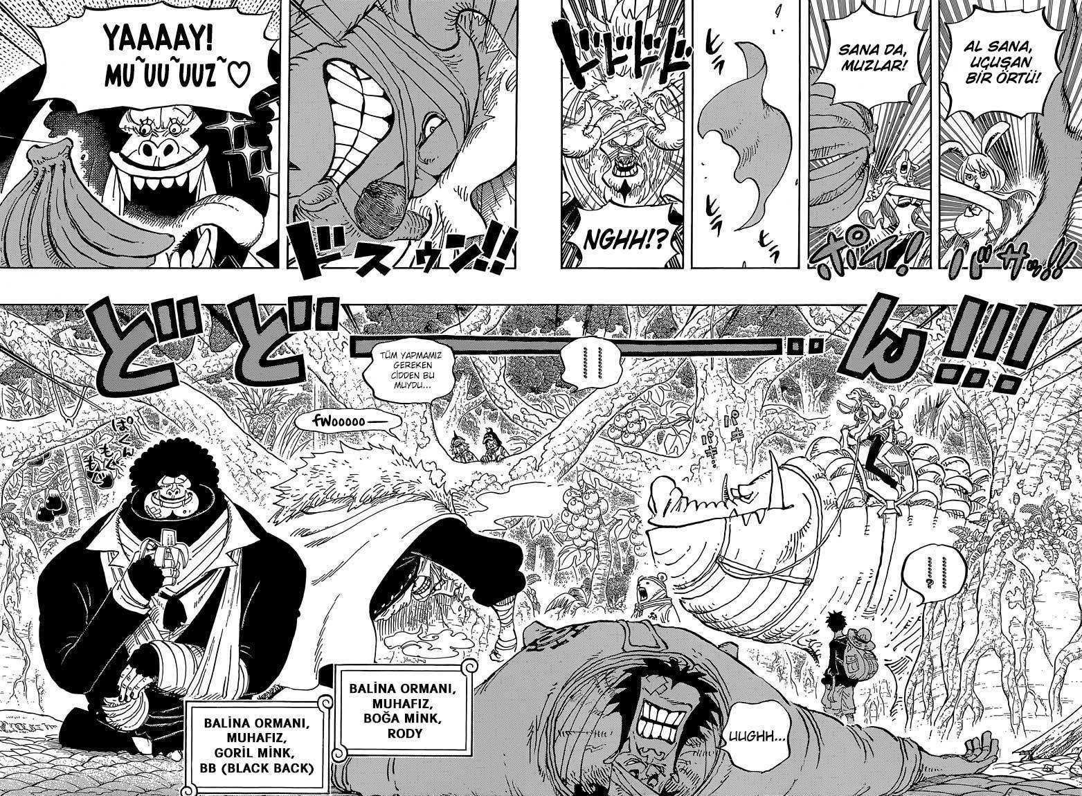 One Piece mangasının 0805 bölümünün 11. sayfasını okuyorsunuz.