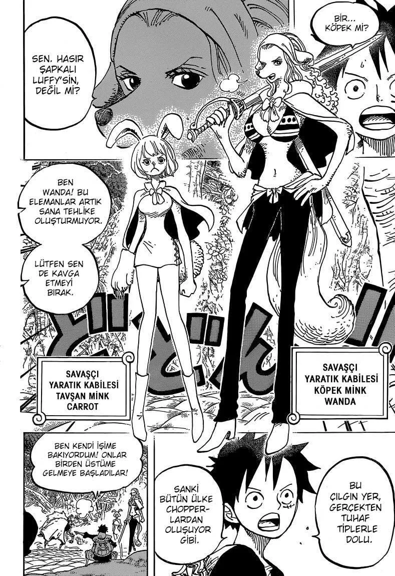 One Piece - Sayfa 12