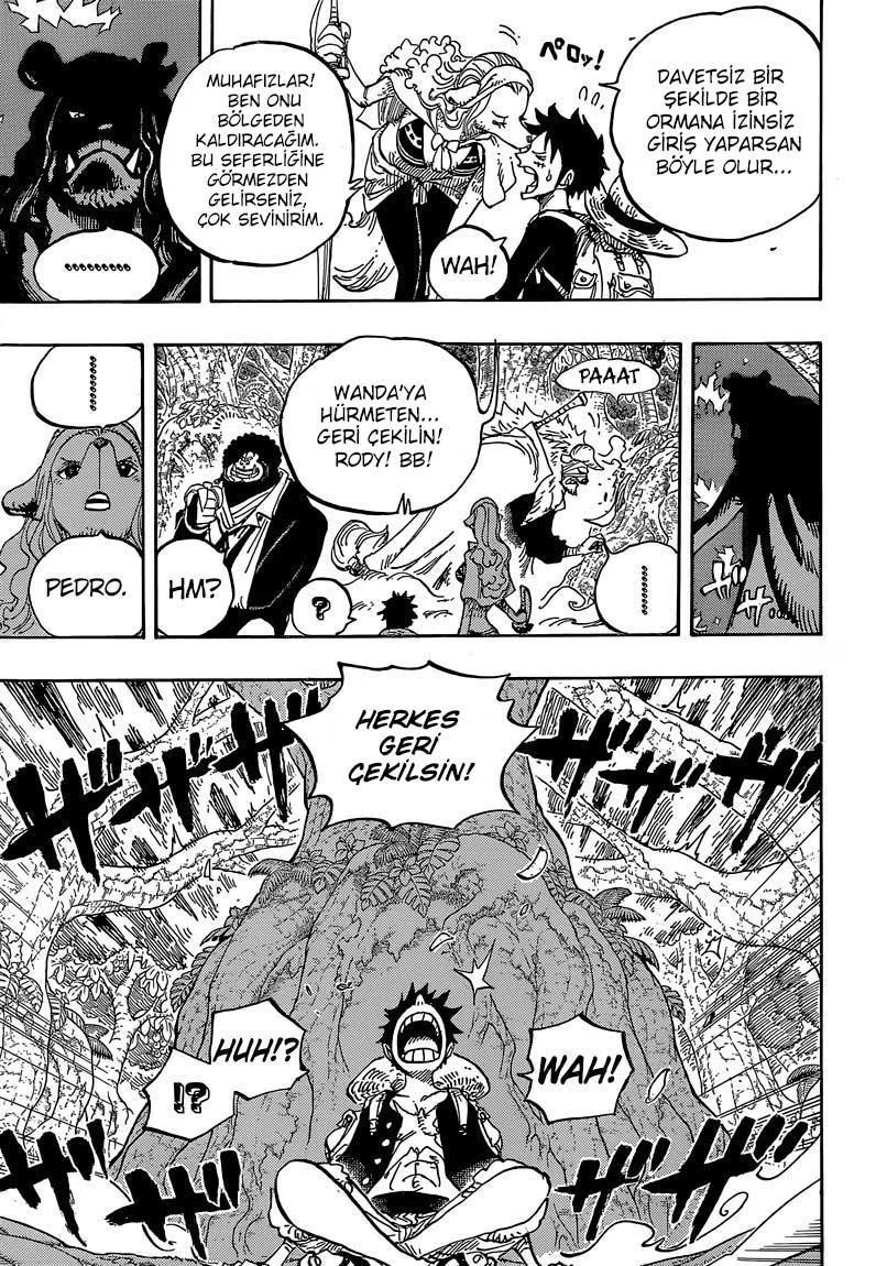 One Piece - Sayfa 13