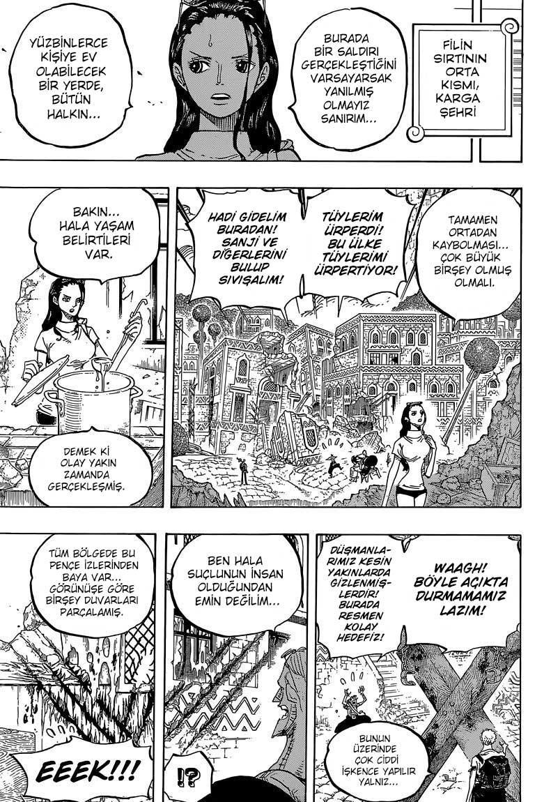 One Piece mangasının 0805 bölümünün 15. sayfasını okuyorsunuz.