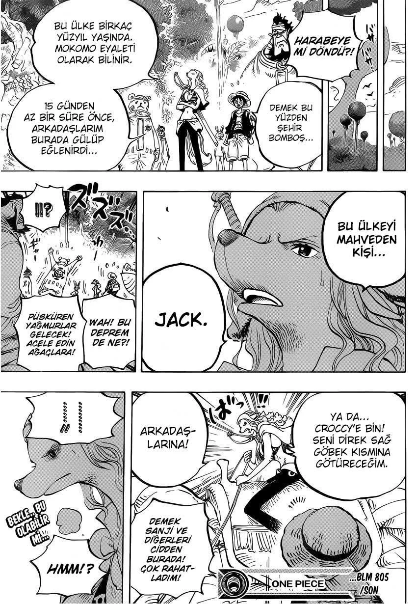 One Piece - Sayfa 17