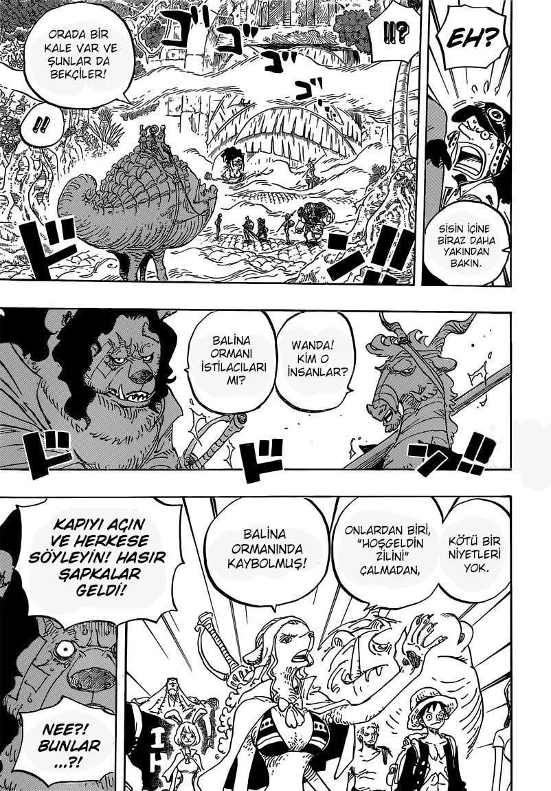 One Piece - Sayfa 12
