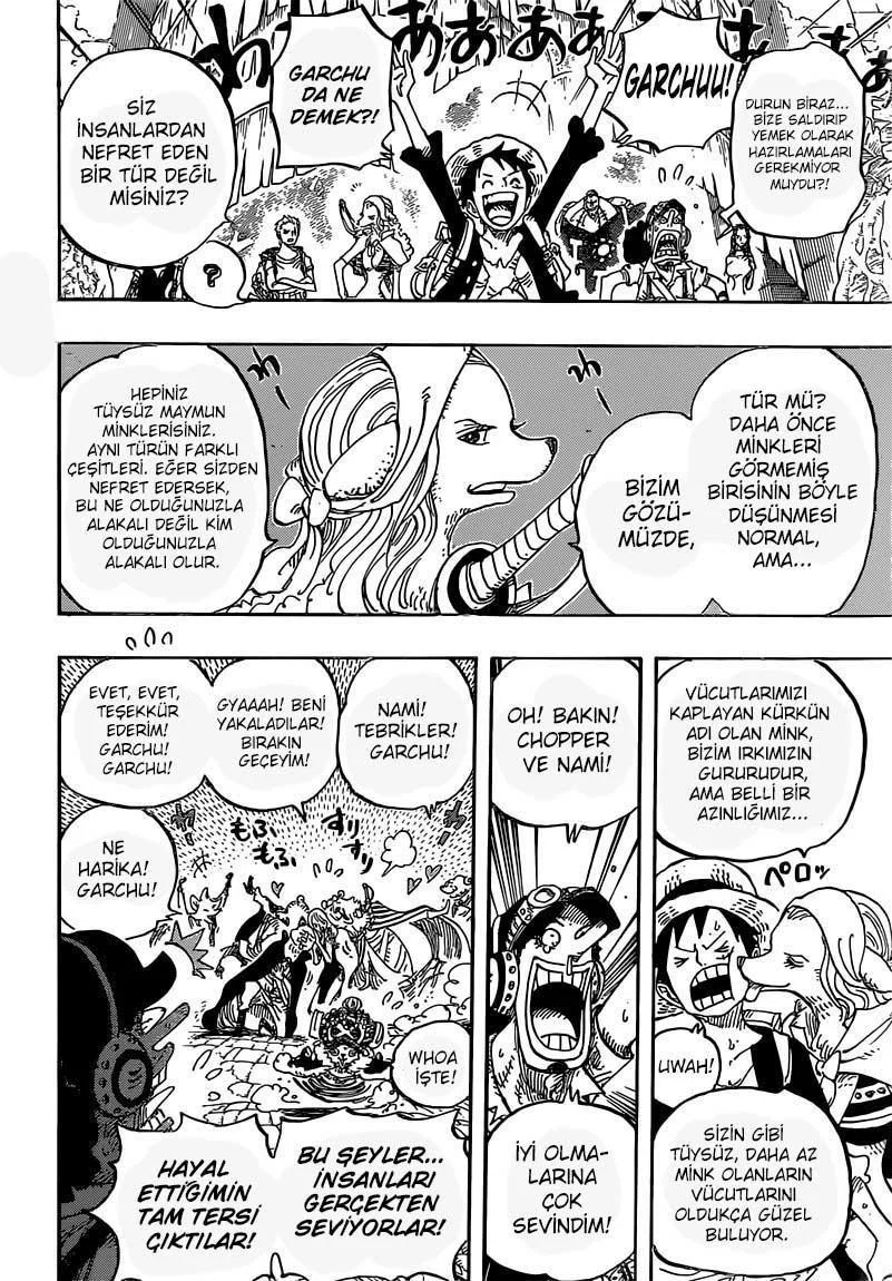 One Piece - Sayfa 16