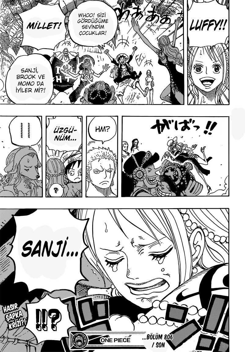 One Piece mangasının 0806 bölümünün 17. sayfasını okuyorsunuz.