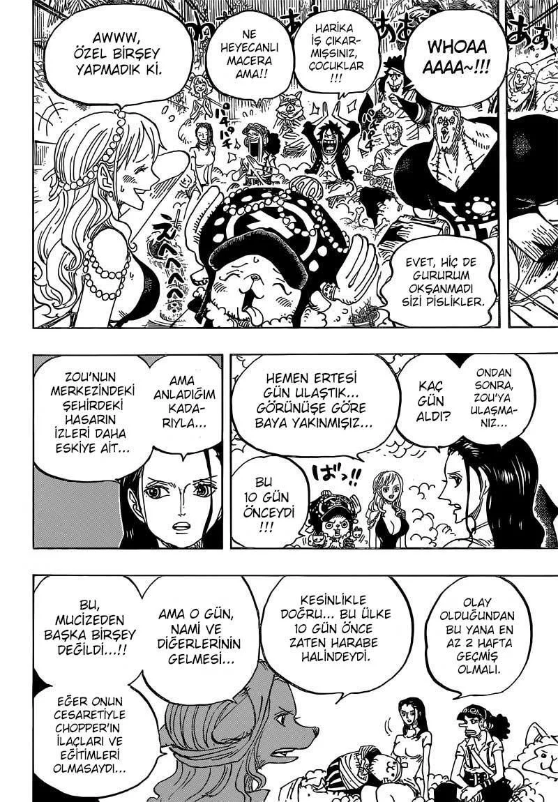 One Piece - Sayfa 12