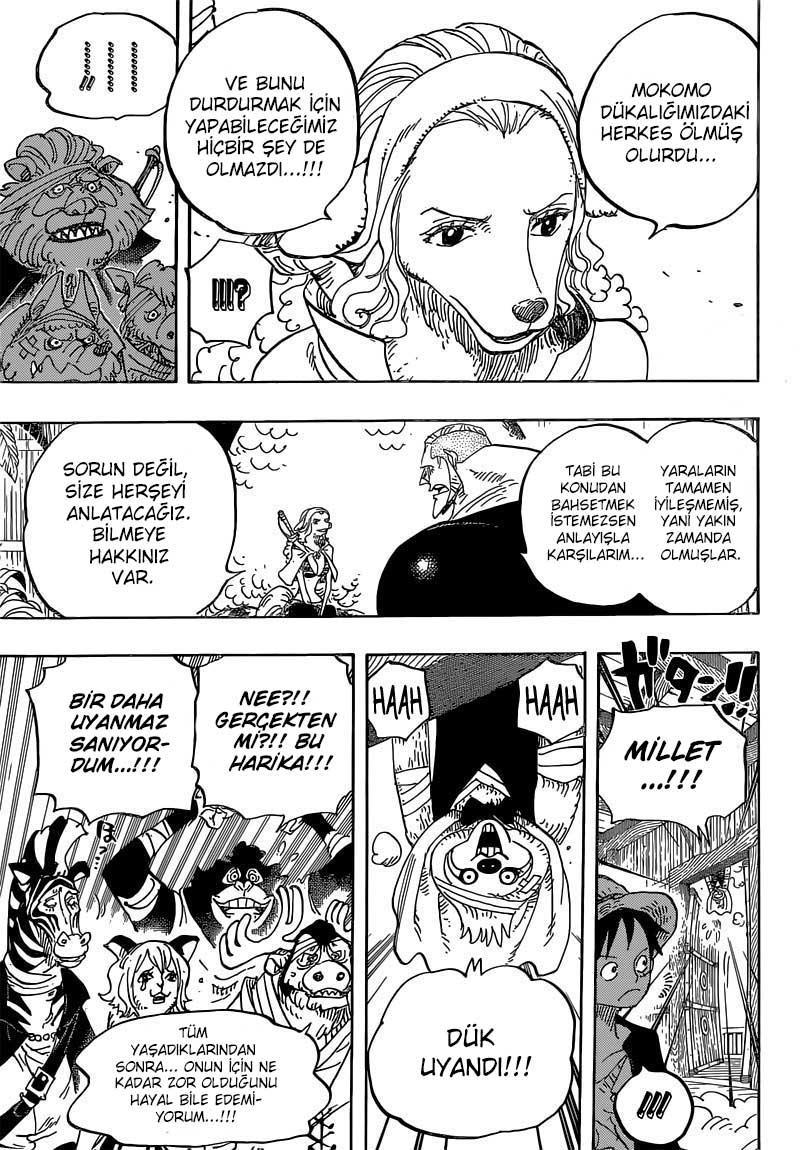 One Piece mangasının 0807 bölümünün 13. sayfasını okuyorsunuz.