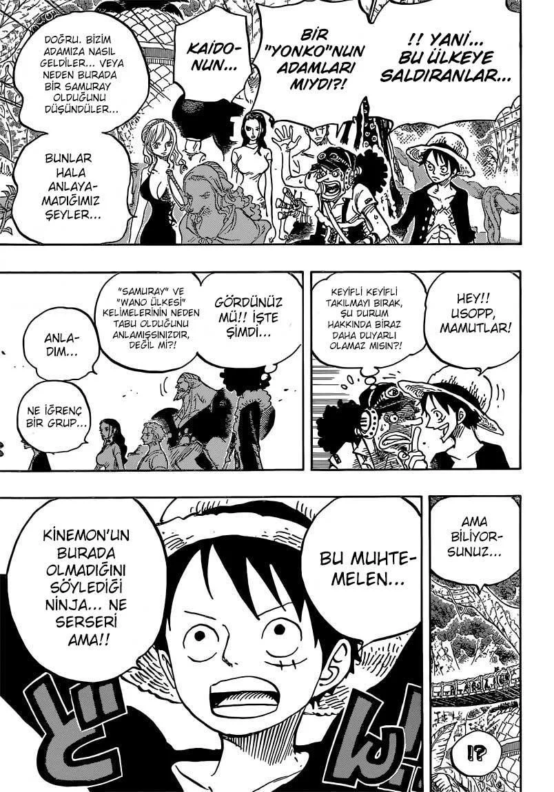 One Piece - Sayfa 11