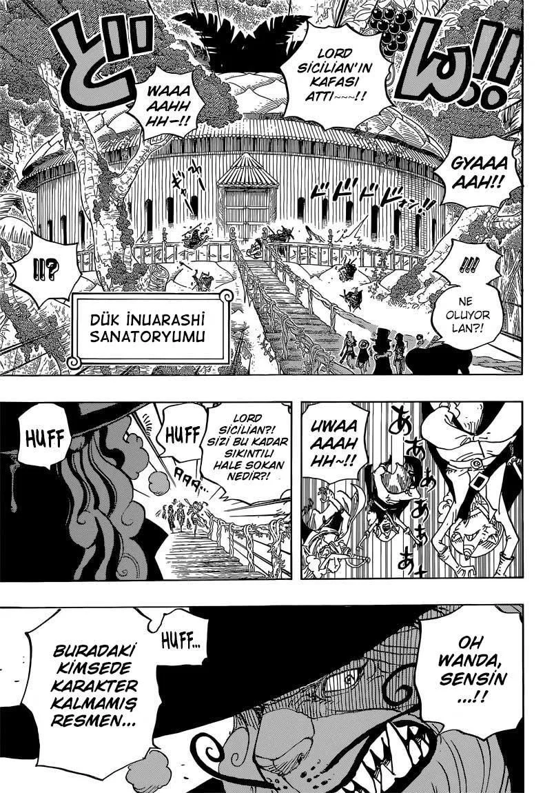 One Piece - Sayfa 13