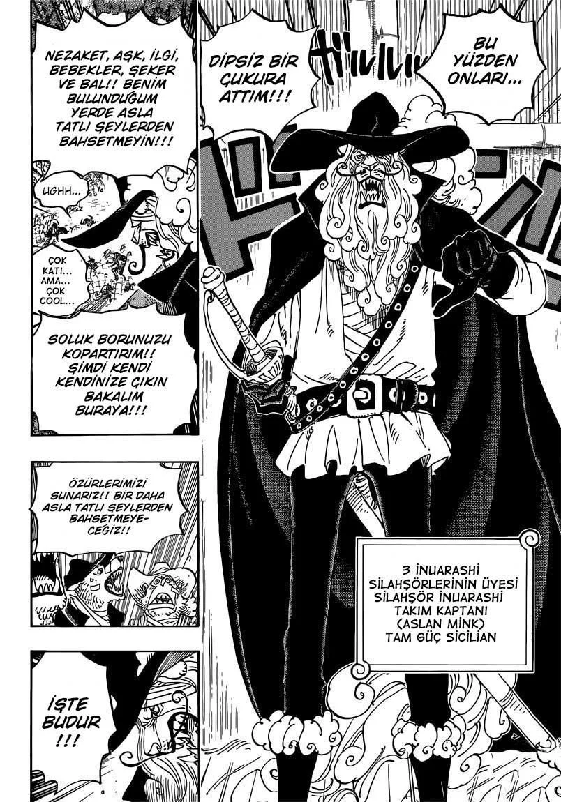 One Piece - Sayfa 14