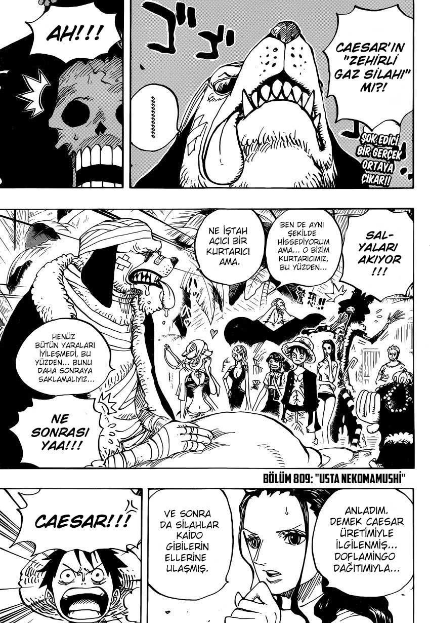 One Piece mangasının 0809 bölümünün 2. sayfasını okuyorsunuz.