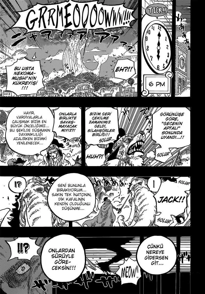 One Piece - Sayfa 13