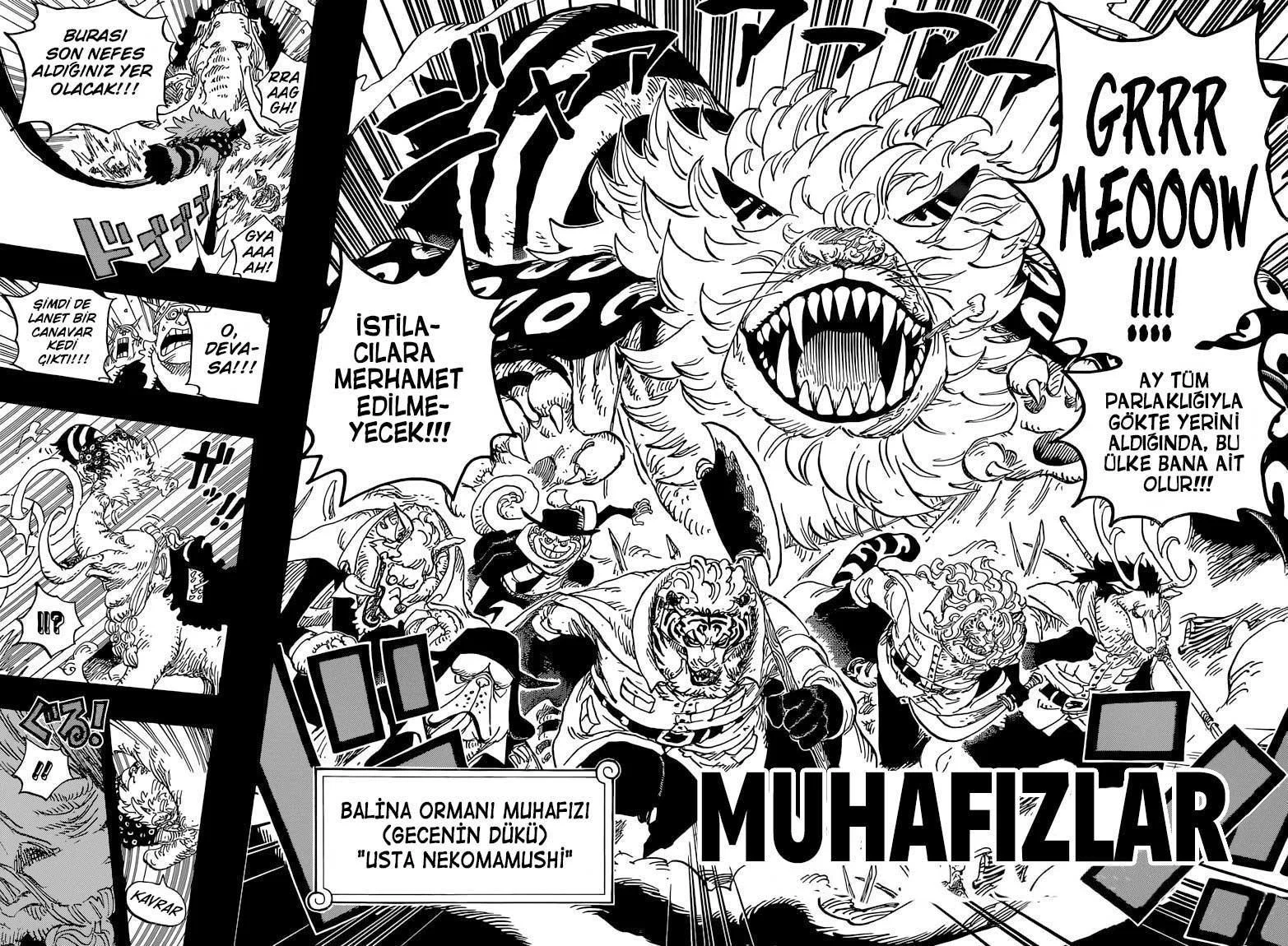 One Piece - Sayfa 14