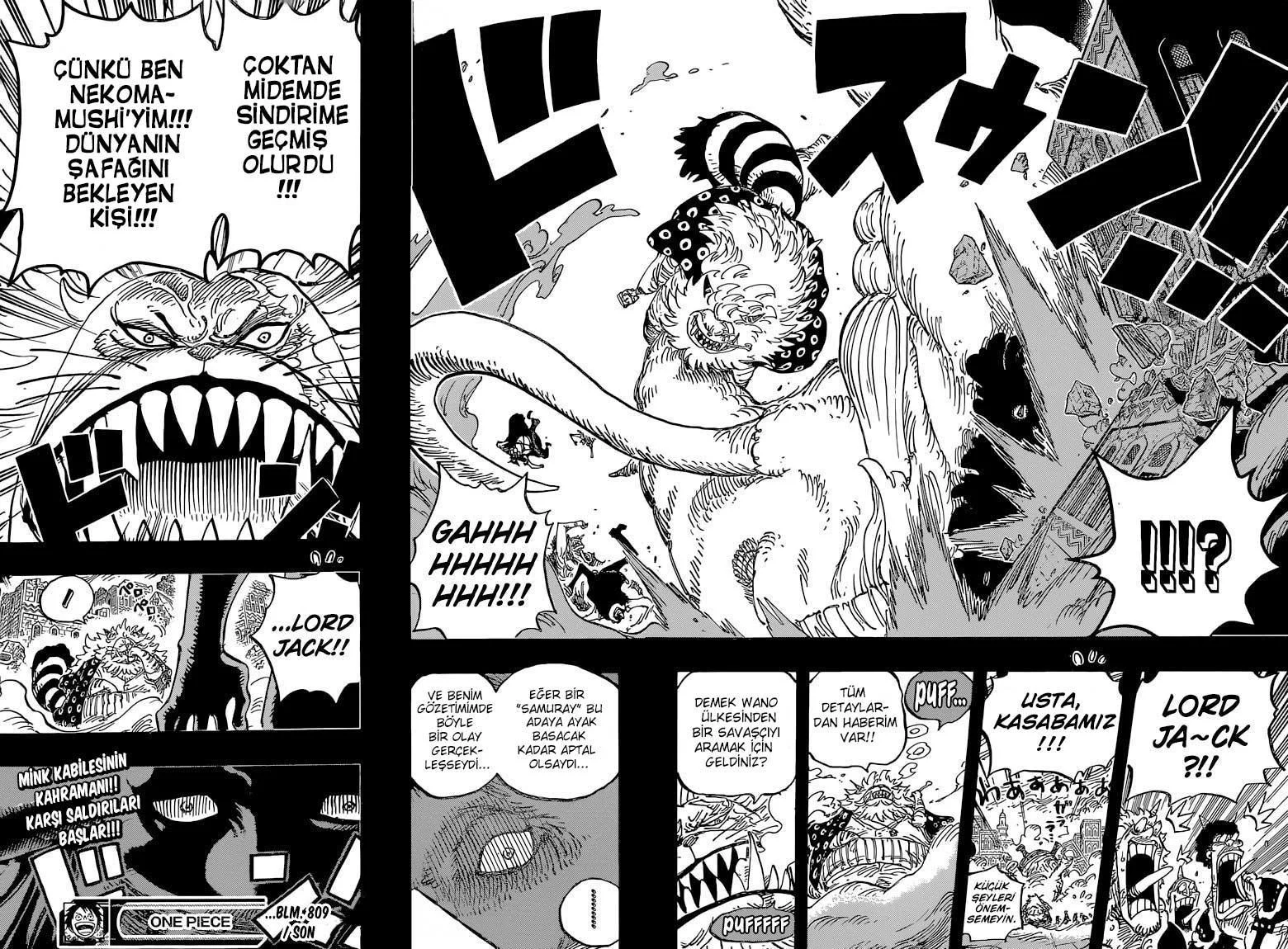 One Piece - Bölüm 0809 - Sayfa 15