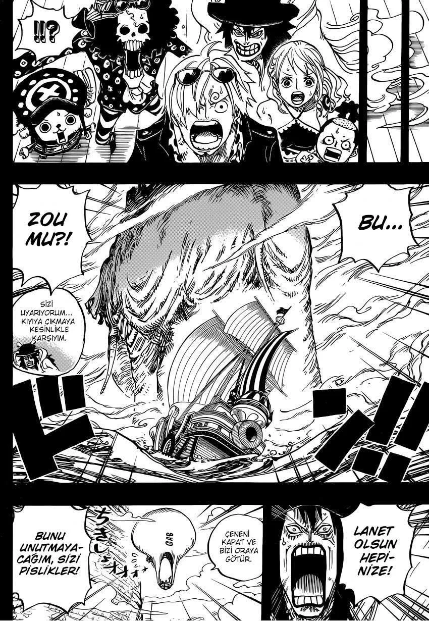 One Piece - Sayfa 13