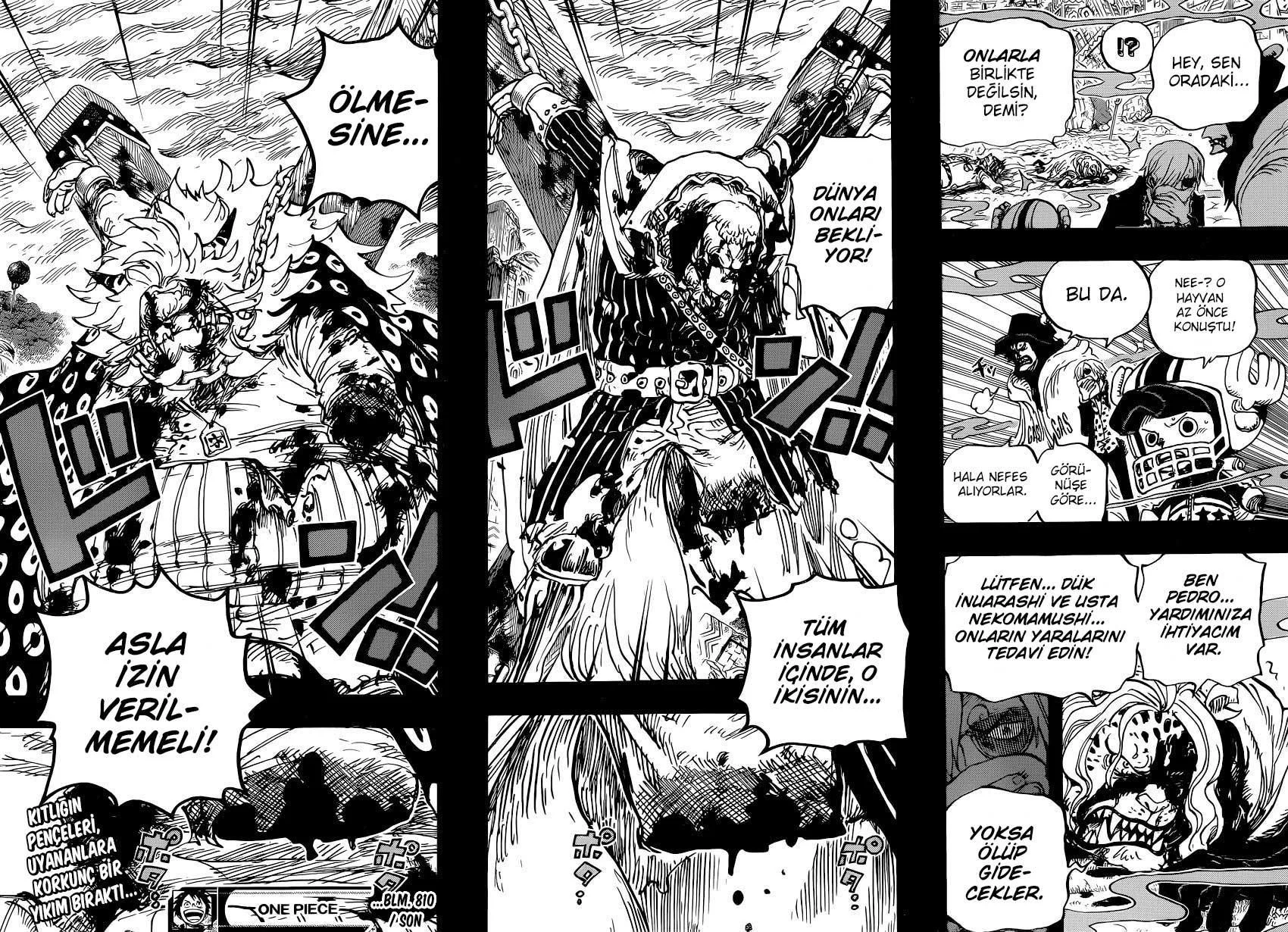 One Piece - Sayfa 17