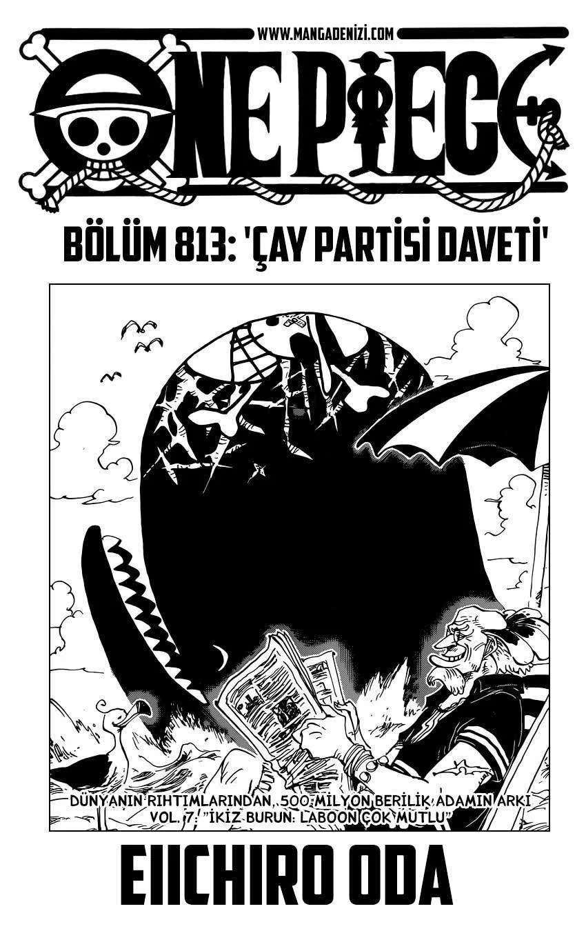 One Piece - Sayfa 2