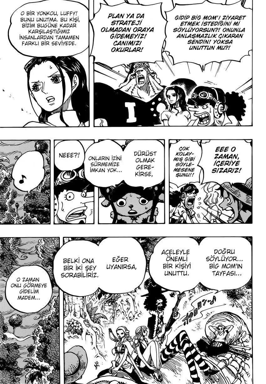 One Piece - Sayfa 10