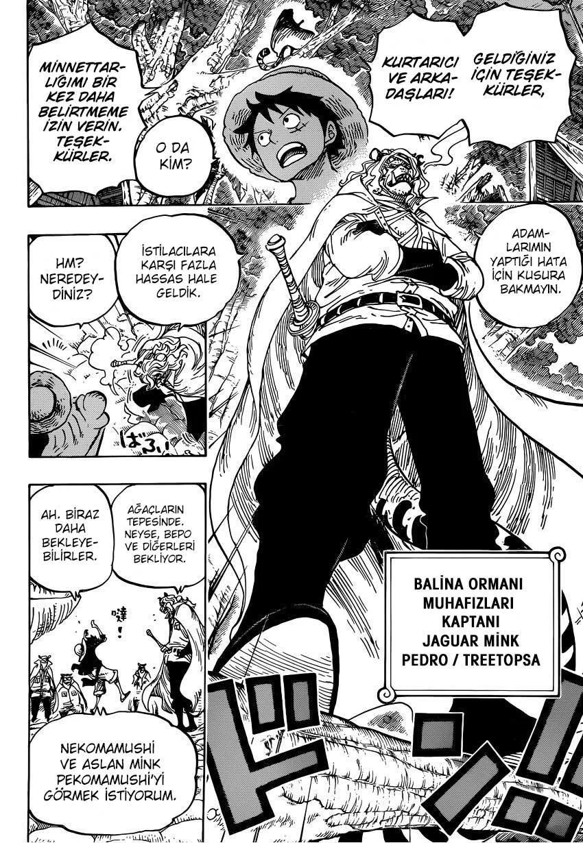 One Piece - Sayfa 12