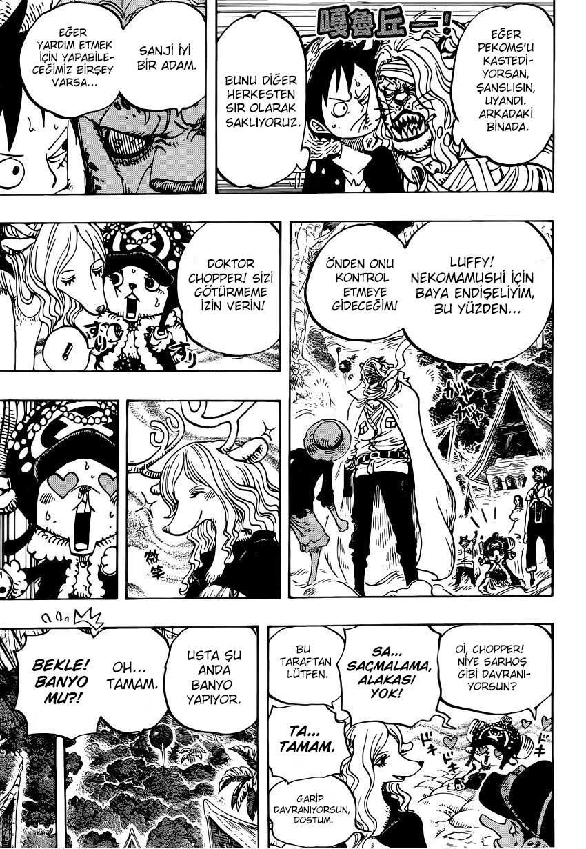 One Piece mangasının 0814 bölümünün 13. sayfasını okuyorsunuz.