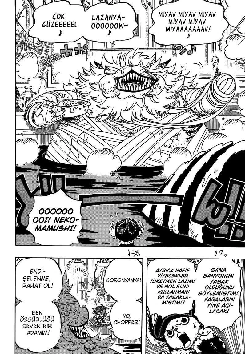 One Piece - Sayfa 14