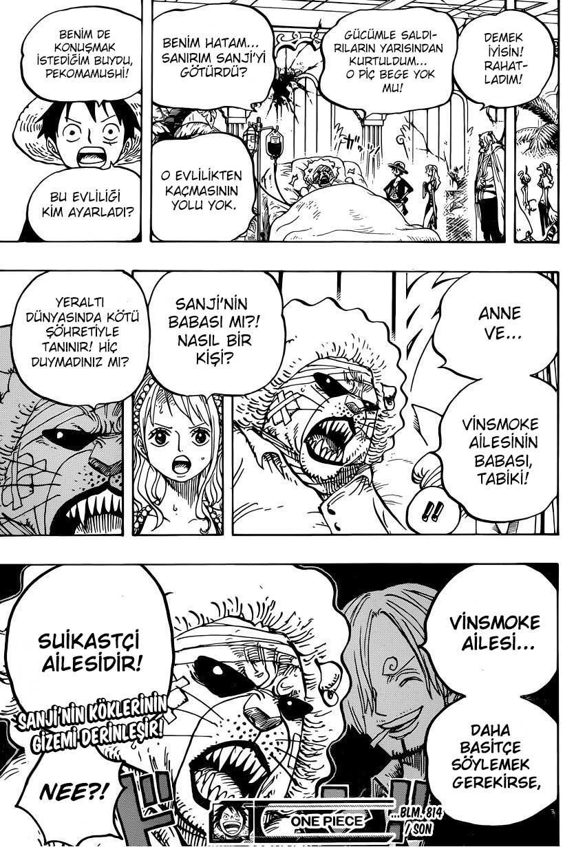 One Piece mangasının 0814 bölümünün 17. sayfasını okuyorsunuz.