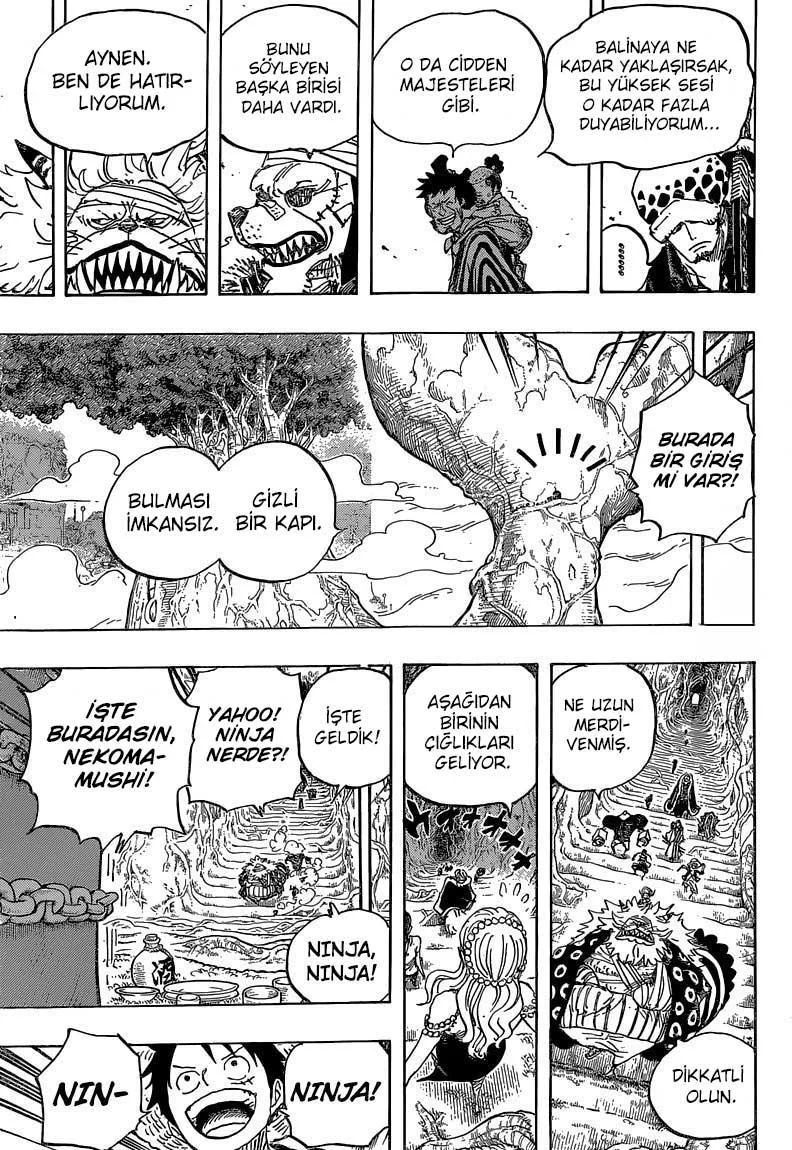 One Piece - Sayfa 12