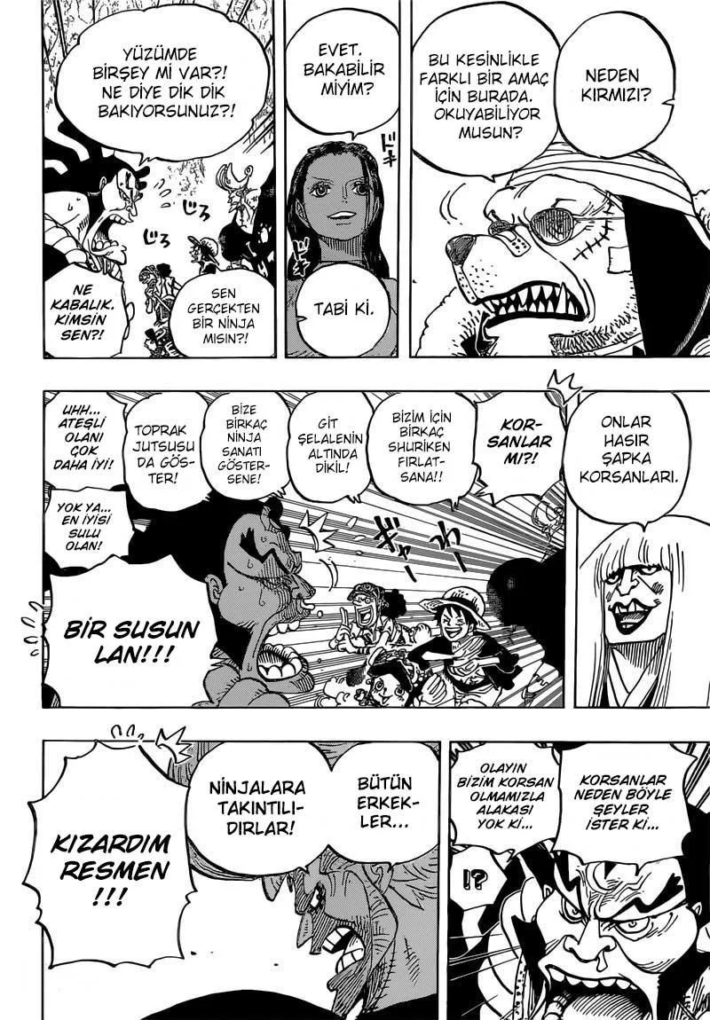 One Piece - Sayfa 15