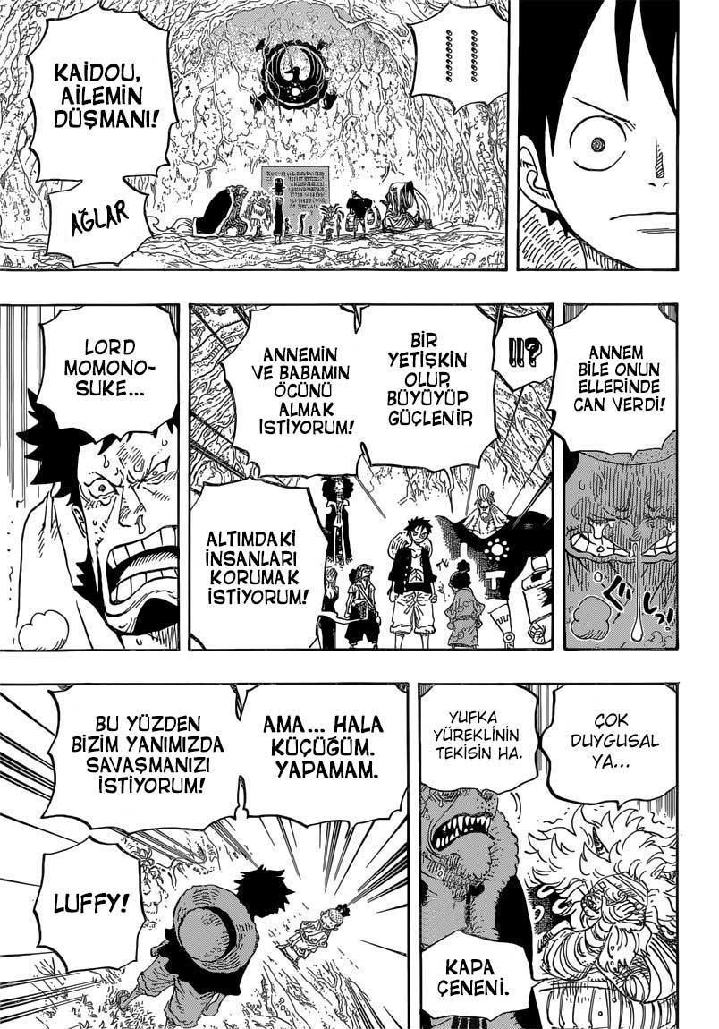 One Piece mangasının 0819 bölümünün 12. sayfasını okuyorsunuz.