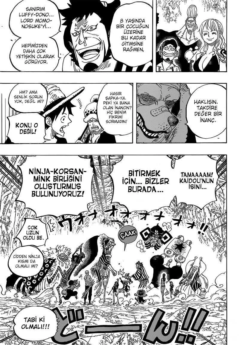 One Piece - Sayfa 14