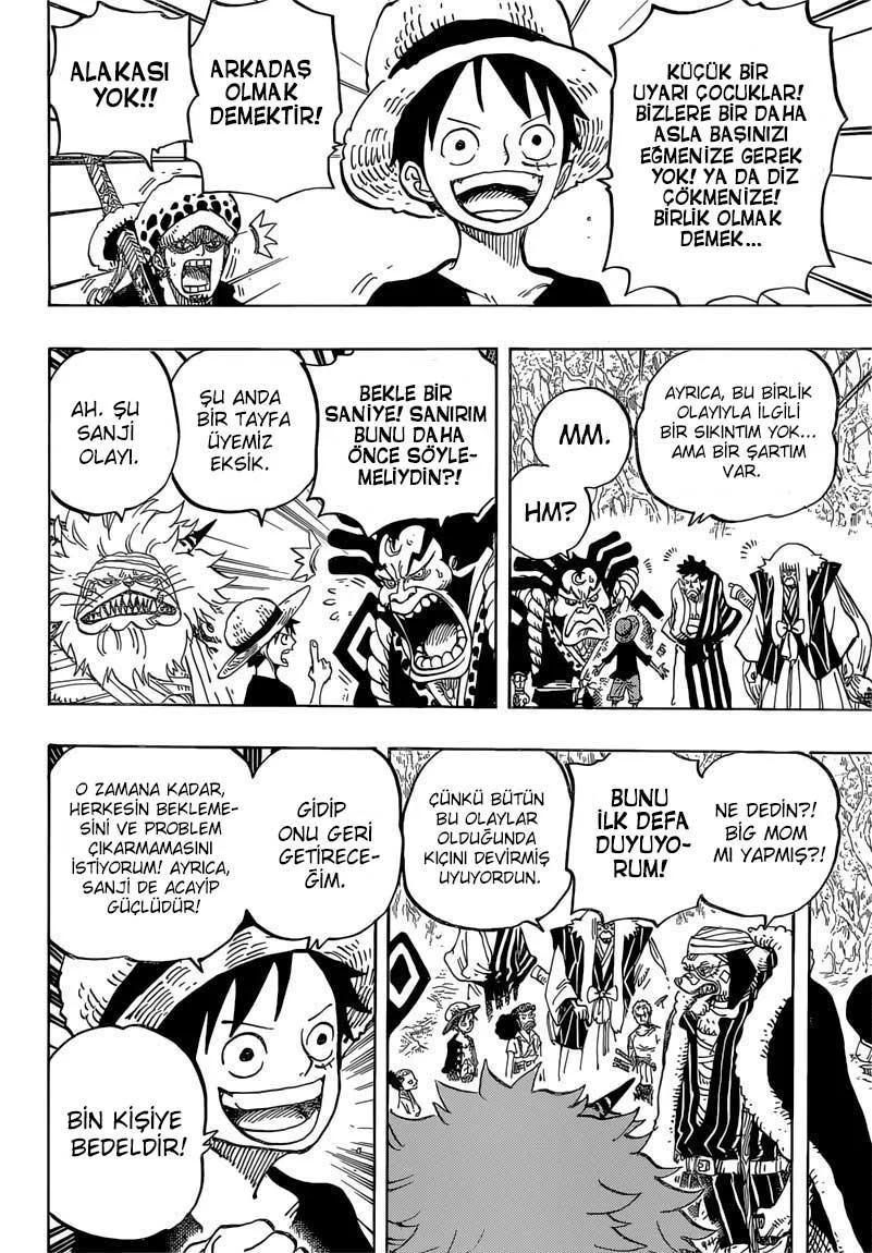 One Piece - Sayfa 15