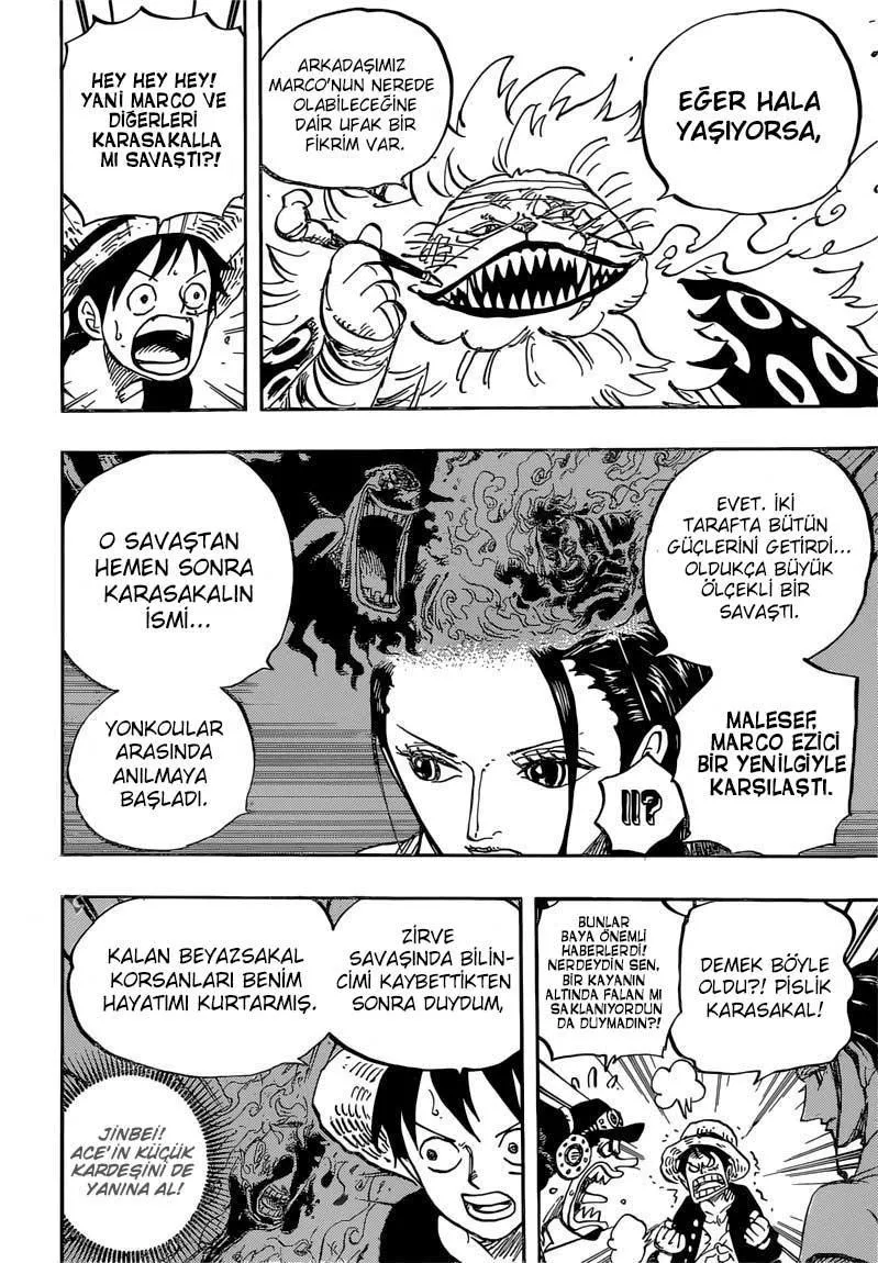 One Piece - Sayfa 13