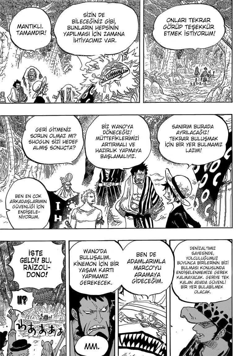 One Piece - Sayfa 14