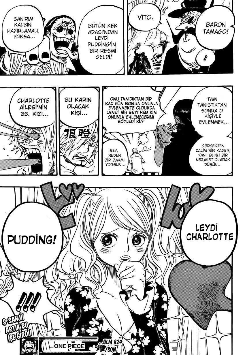 One Piece - Bölüm 0824 - Sayfa 17