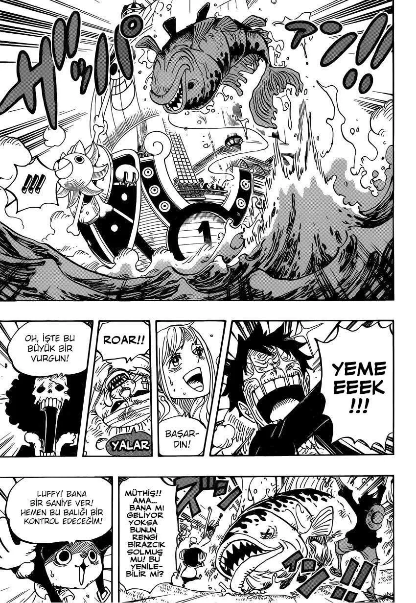 One Piece - Sayfa 10