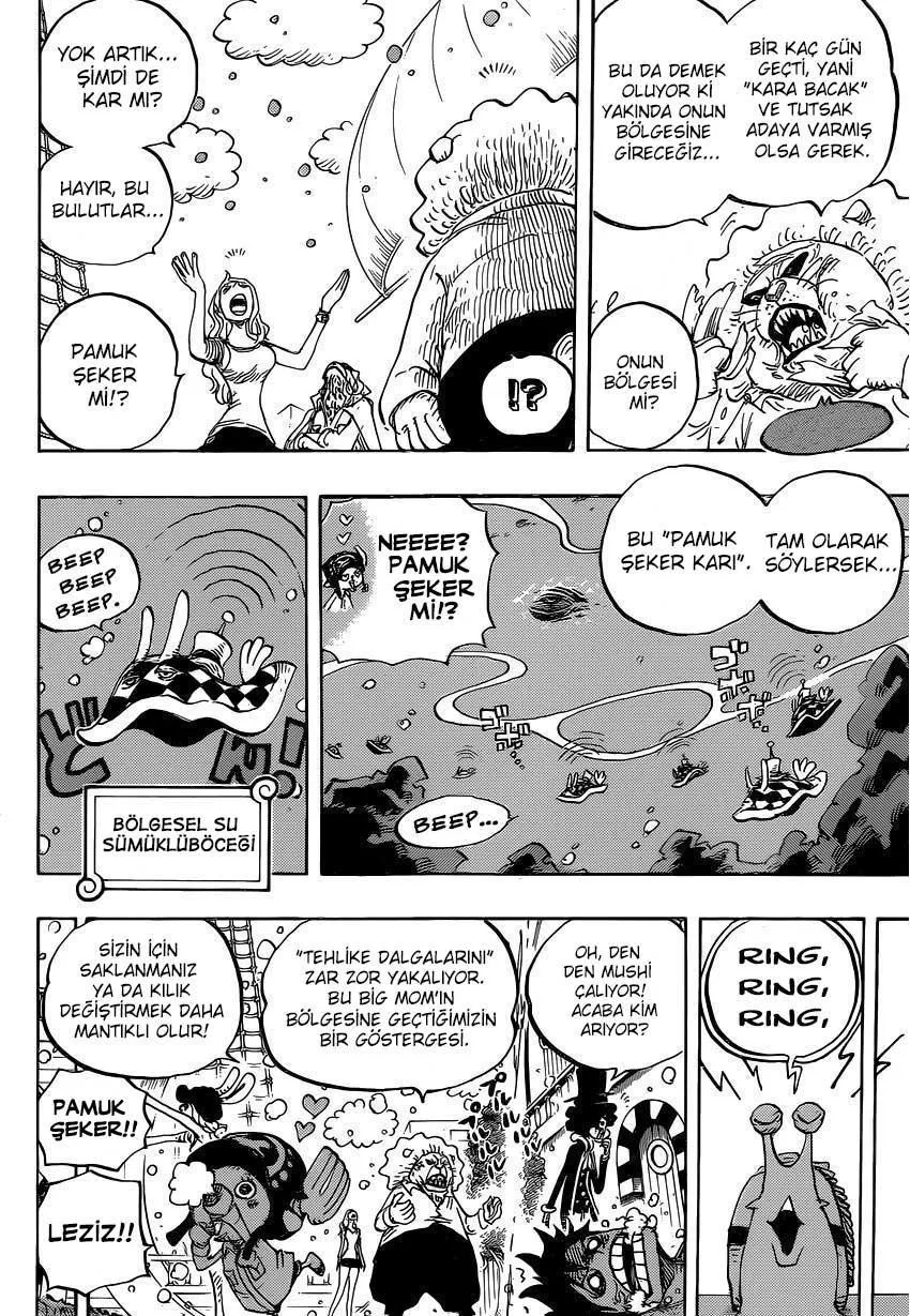 One Piece - Sayfa 13
